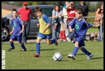 IMG_9433_DXO-border
